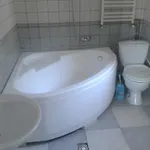 Pensión Pensiunea Dana 2*