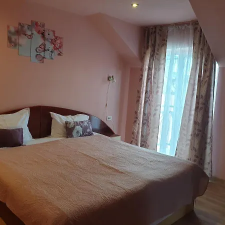 Pensjonat Pensiunea Dana 2*