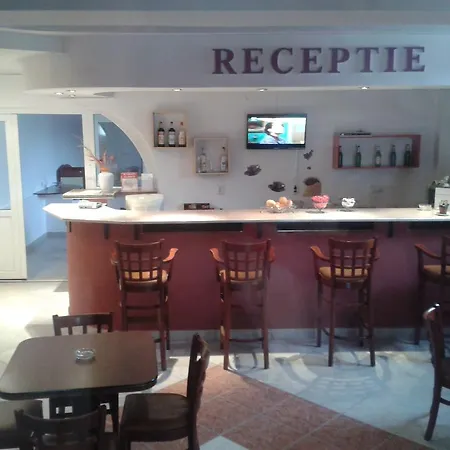 Pensjonat Pensiunea Dana