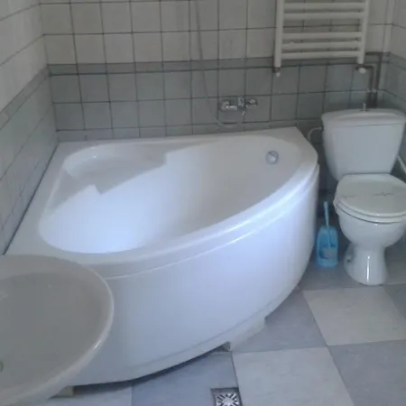 Gasthuis Pensiunea Dana 2*