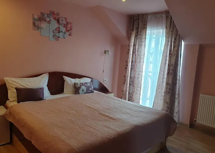 בית הארחה Pensiunea Dana 2*