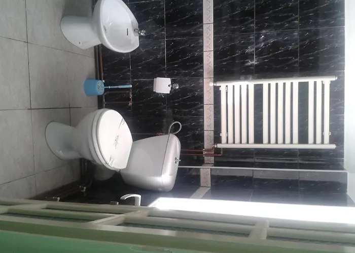 Pensionat Pensiunea Dana