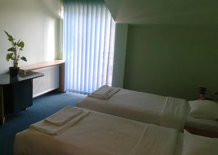 Pensiunea Dana Pensionat