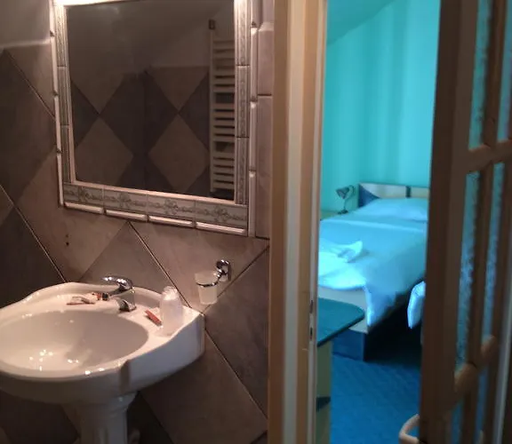 Pensiunea Dana קלוז'-נאפוקה