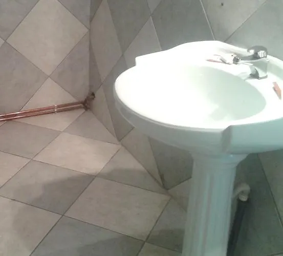 בית הארחה Pensiunea Dana