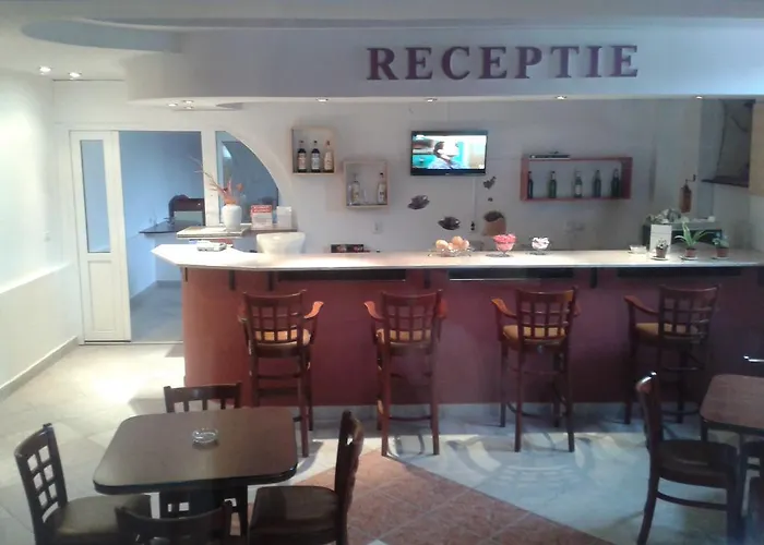 Pensjonat Pensiunea Dana