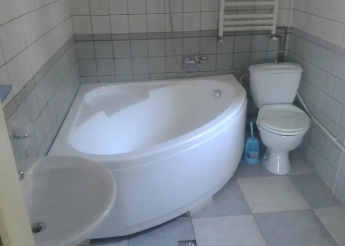 Pensjonat Pensiunea Dana 2*