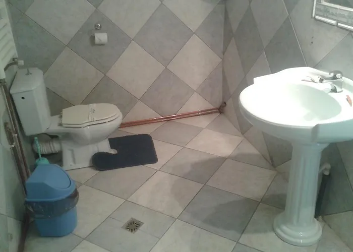 Pensjonat Pensiunea Dana